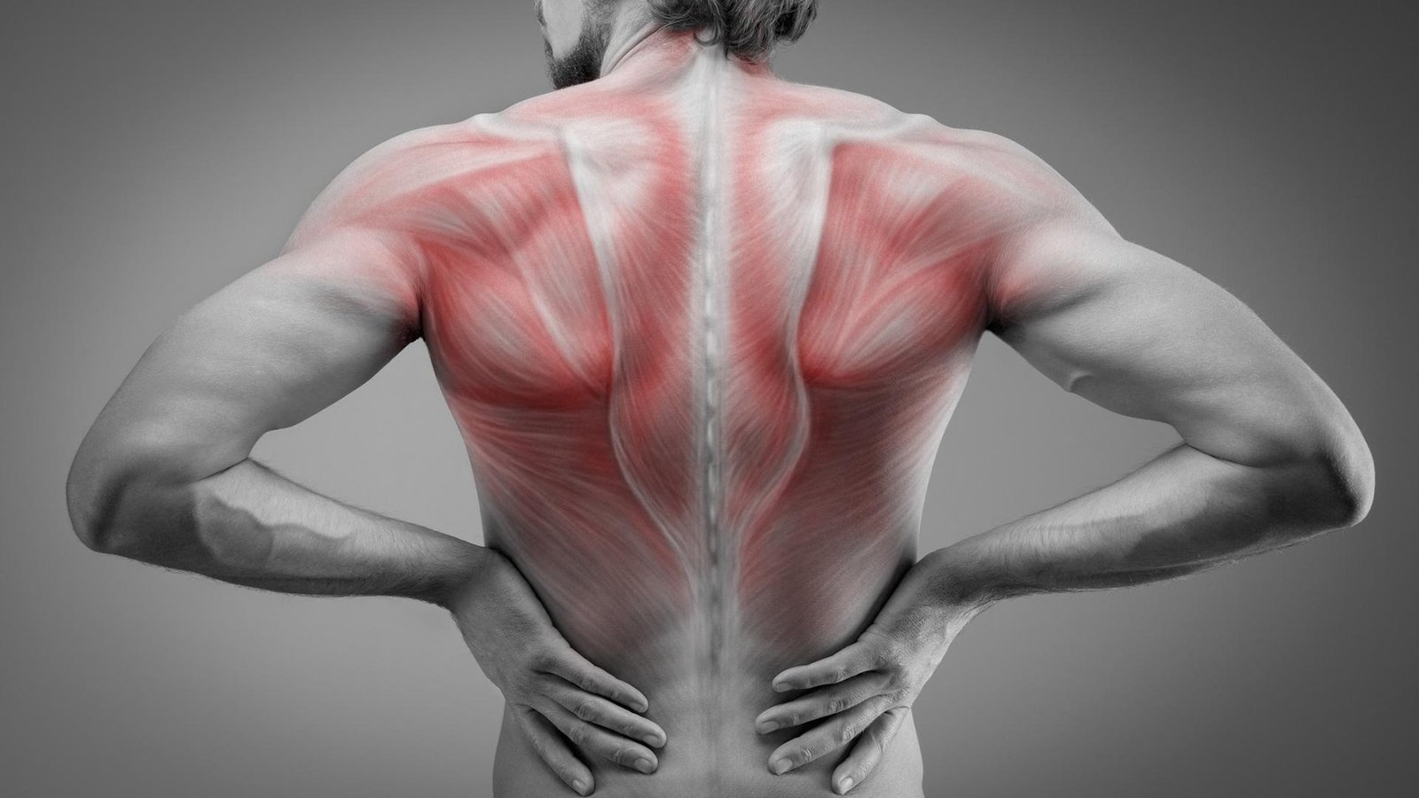 A New Force for the Back: Eliminate Back Pain with BODY TIME EMS