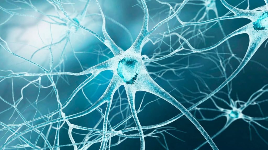 Cell Health: 7 Scientific Ways EMS Boosts Cellular & Mitochondrial Health